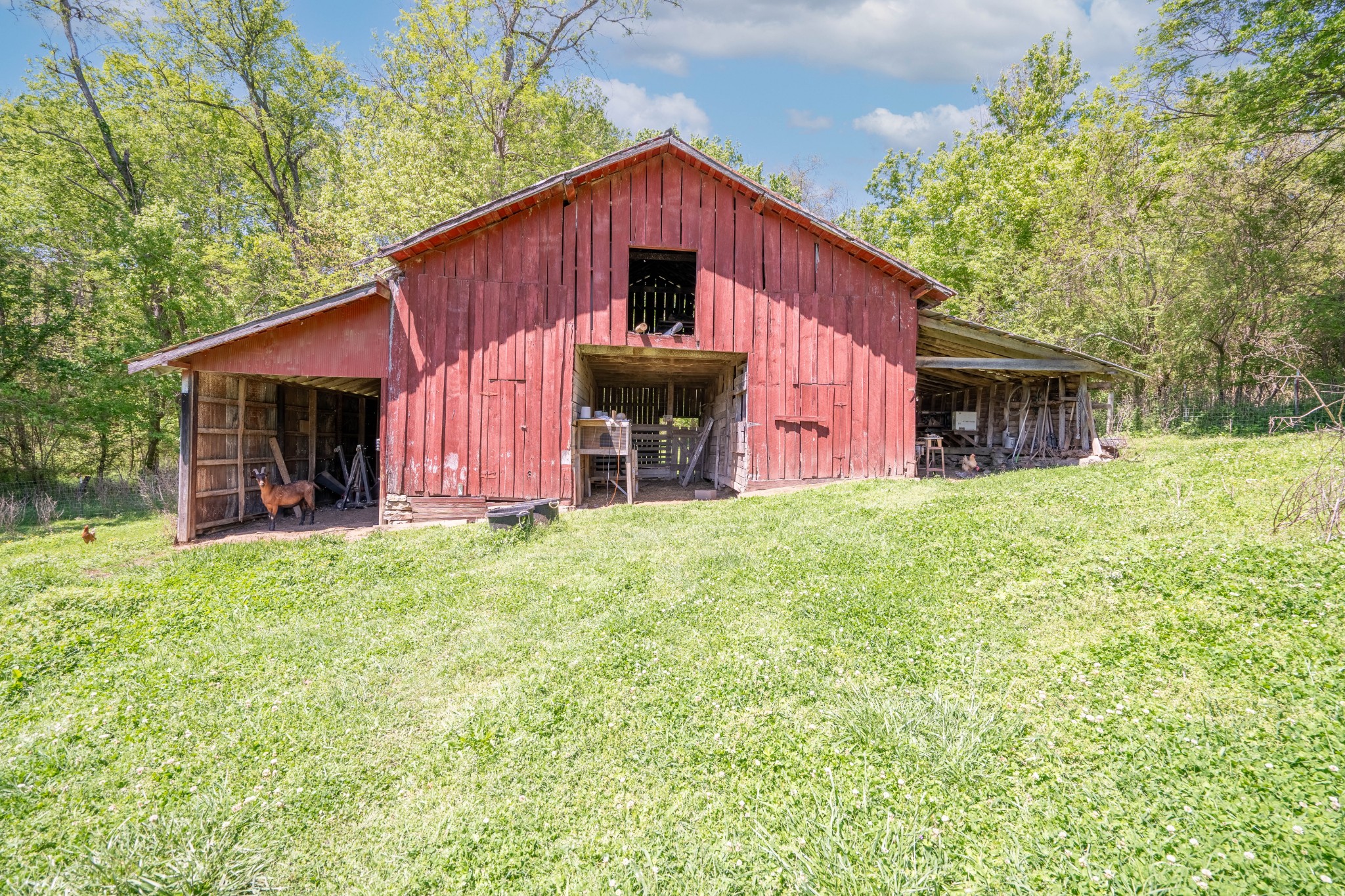 2838 Dodson Gap Rd Property Photo 5