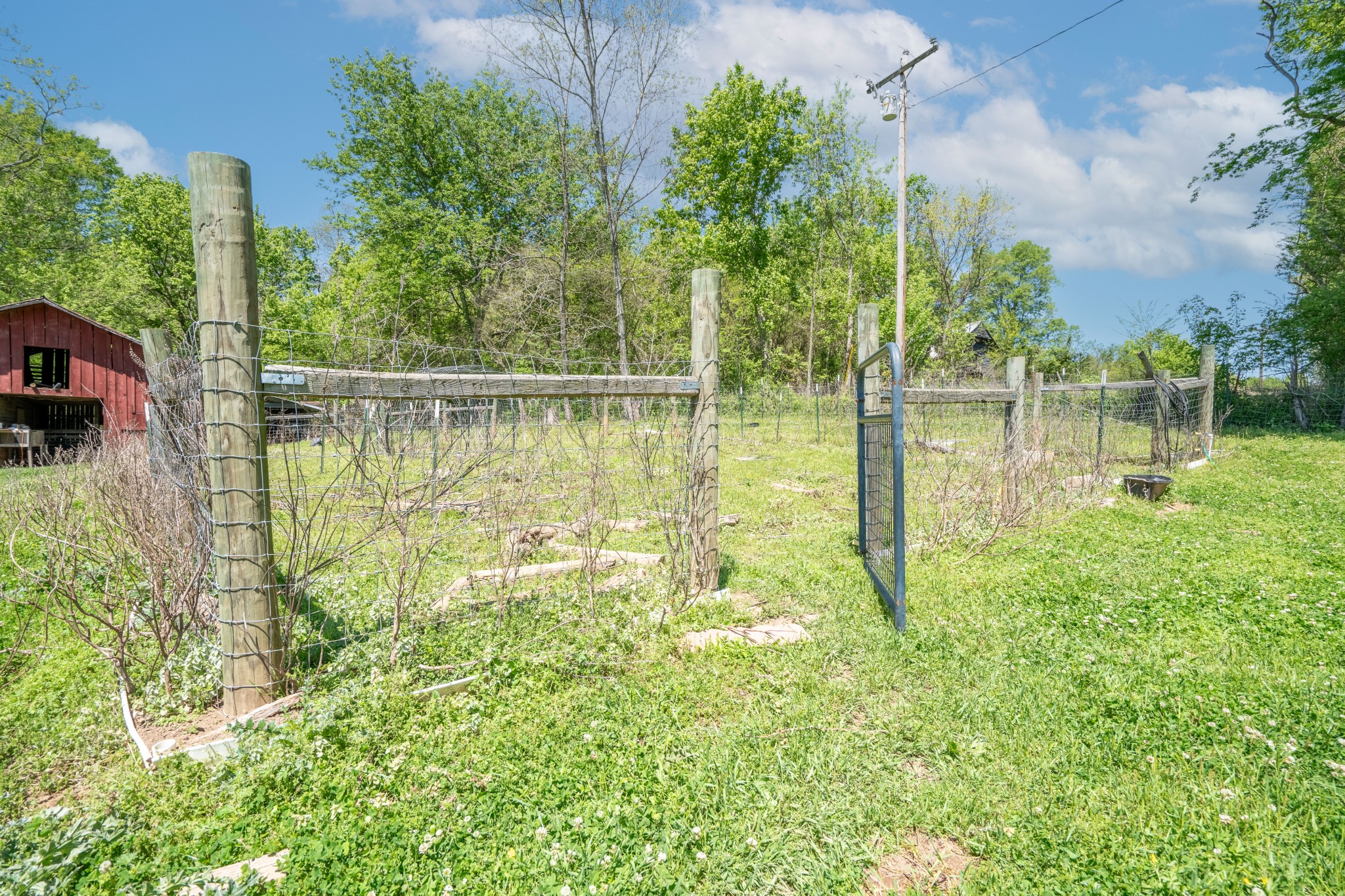 2838 Dodson Gap Rd Property Photo 19
