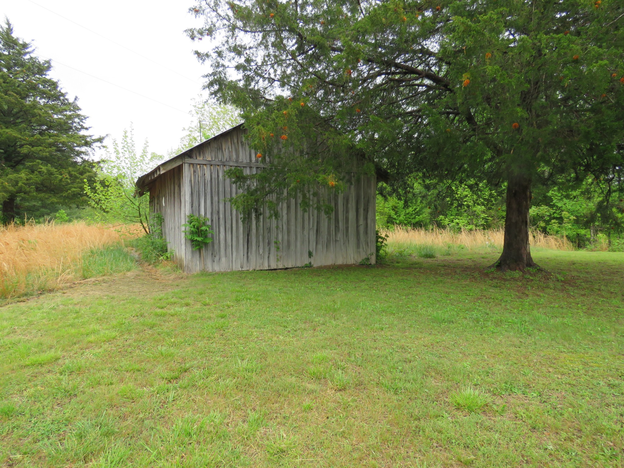 891 Vickers Ridge Rd Property Photo 17