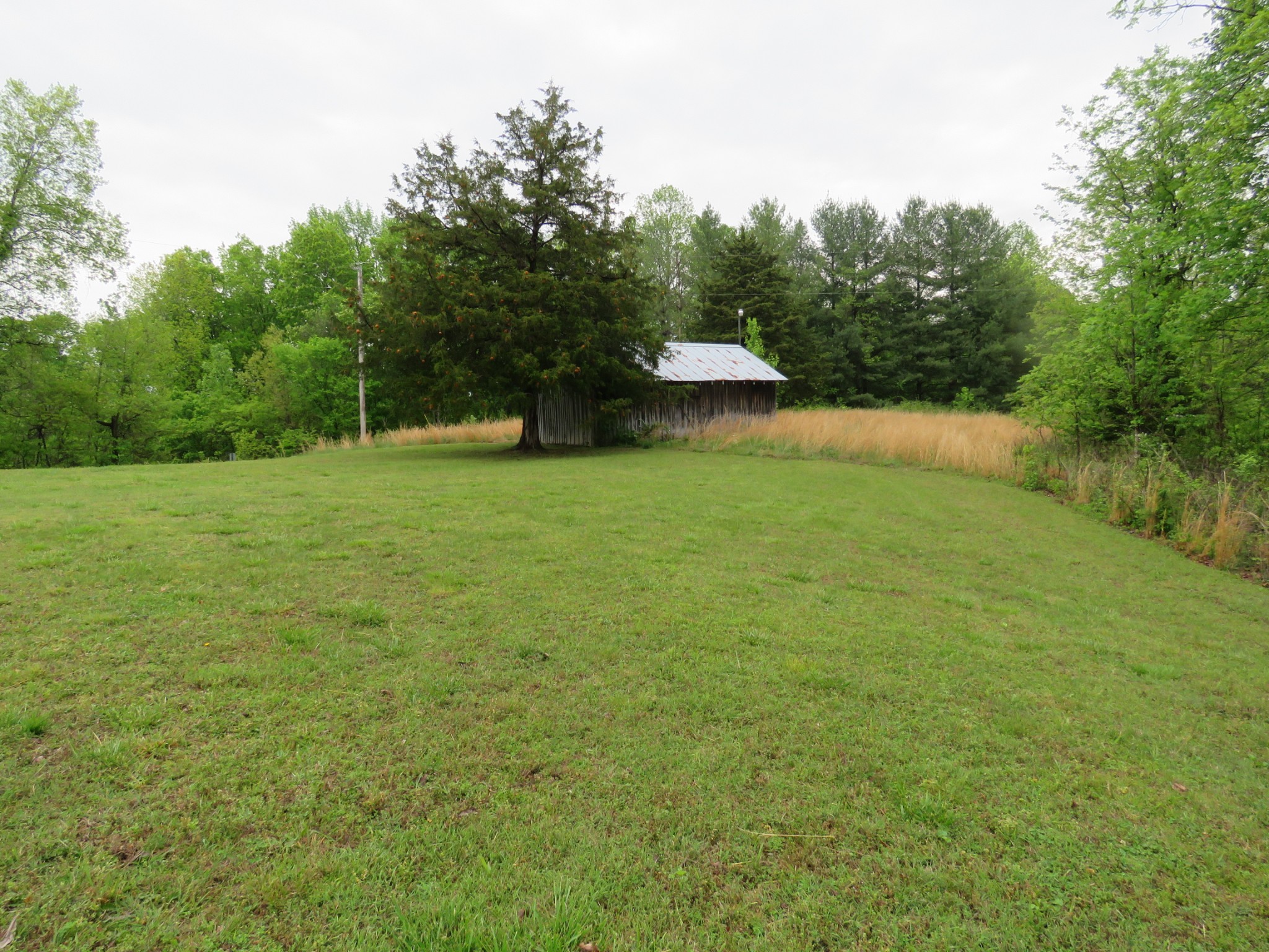 891 Vickers Ridge Rd Property Photo 18