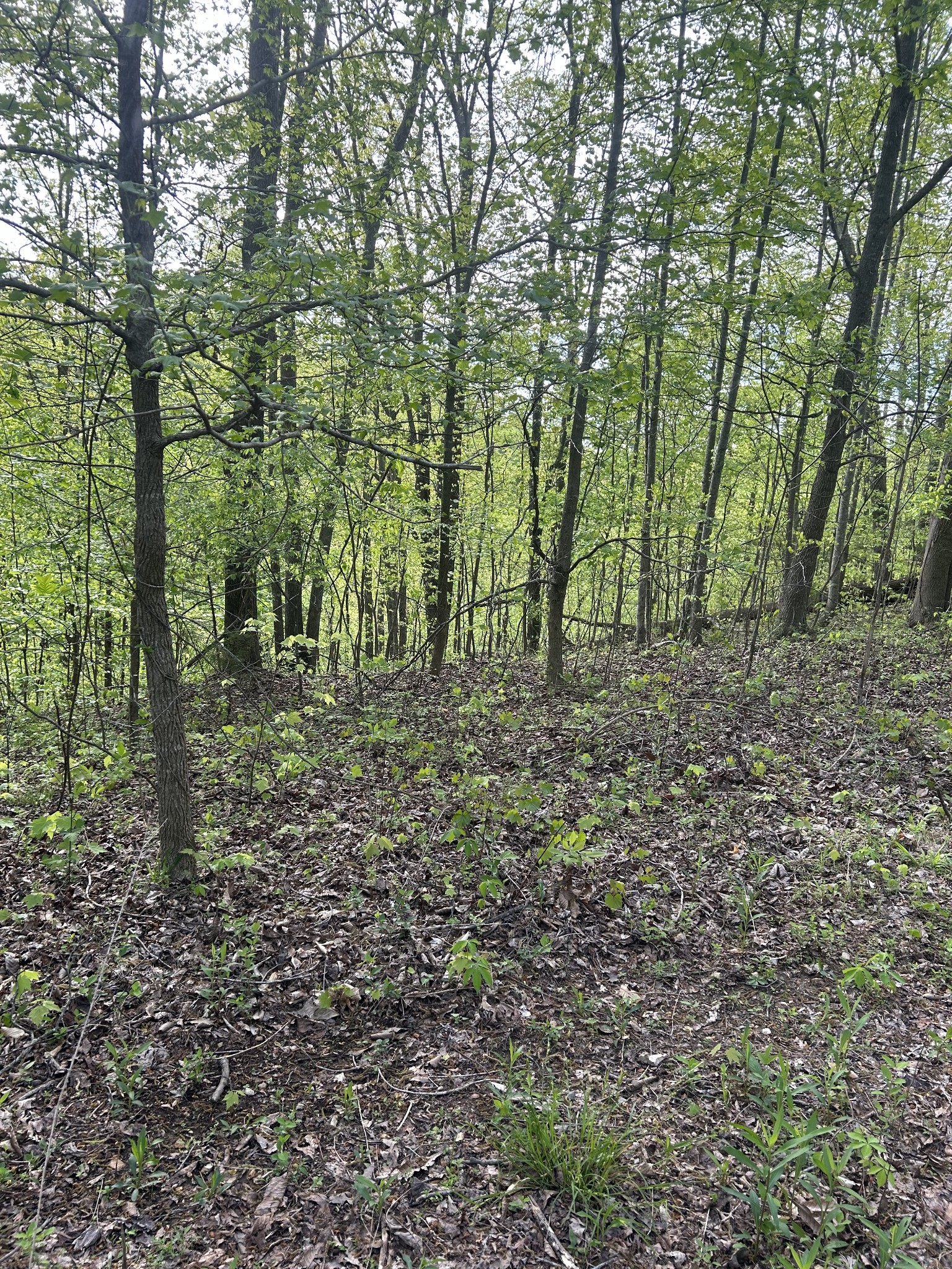 891 Vickers Ridge Rd Property Photo 20