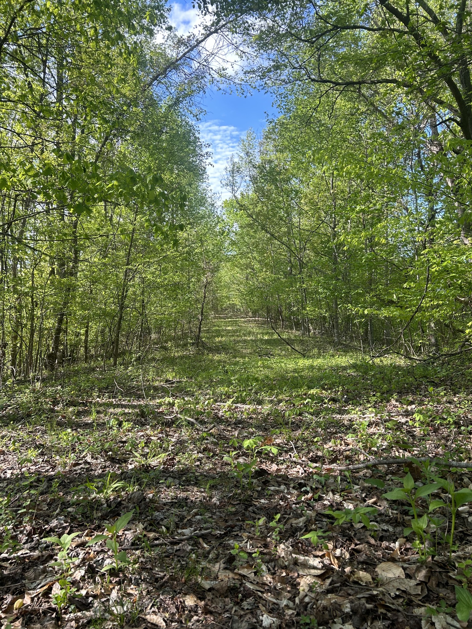 891 Vickers Ridge Rd Property Photo 21