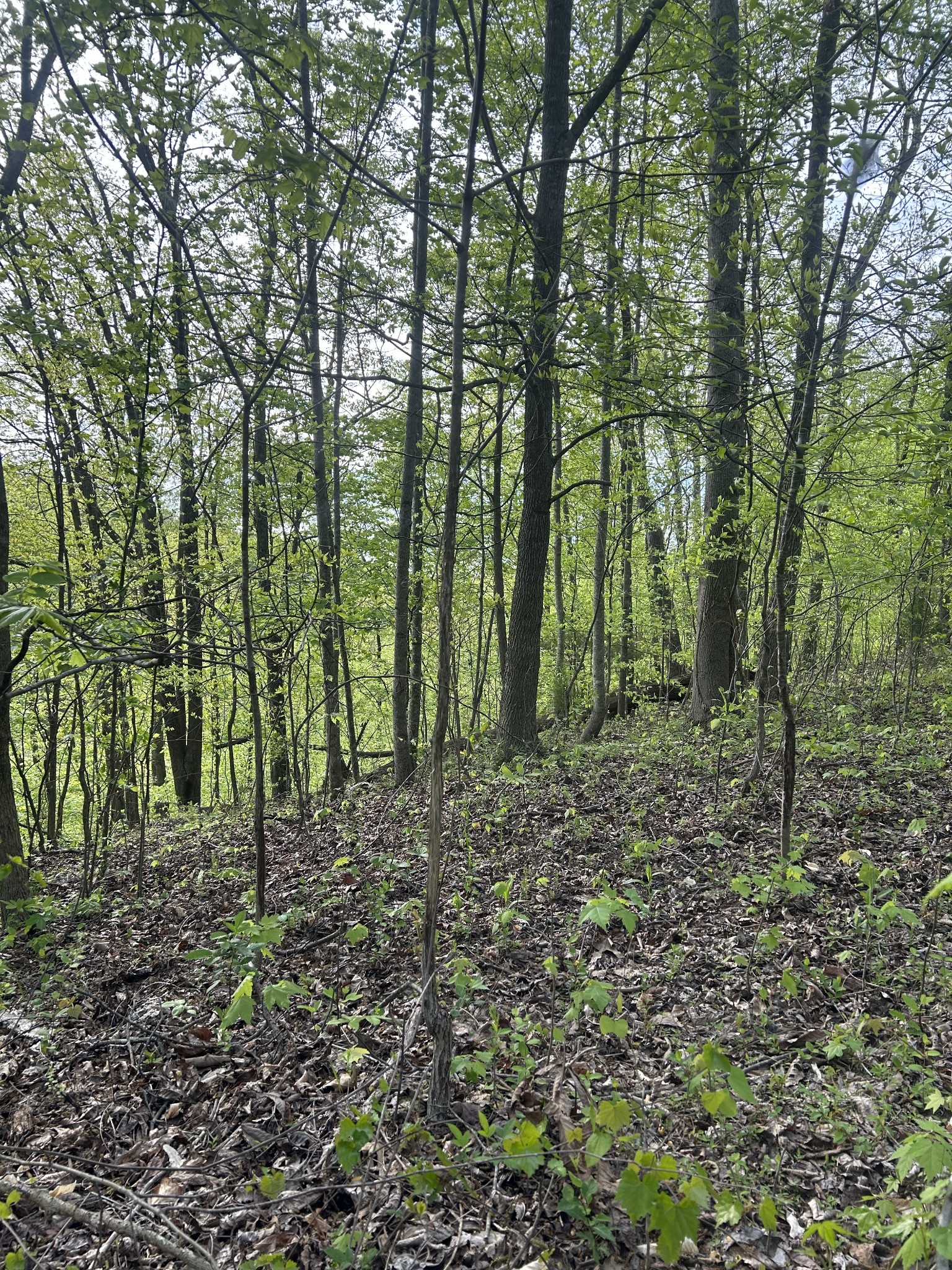 891 Vickers Ridge Rd Property Photo 22