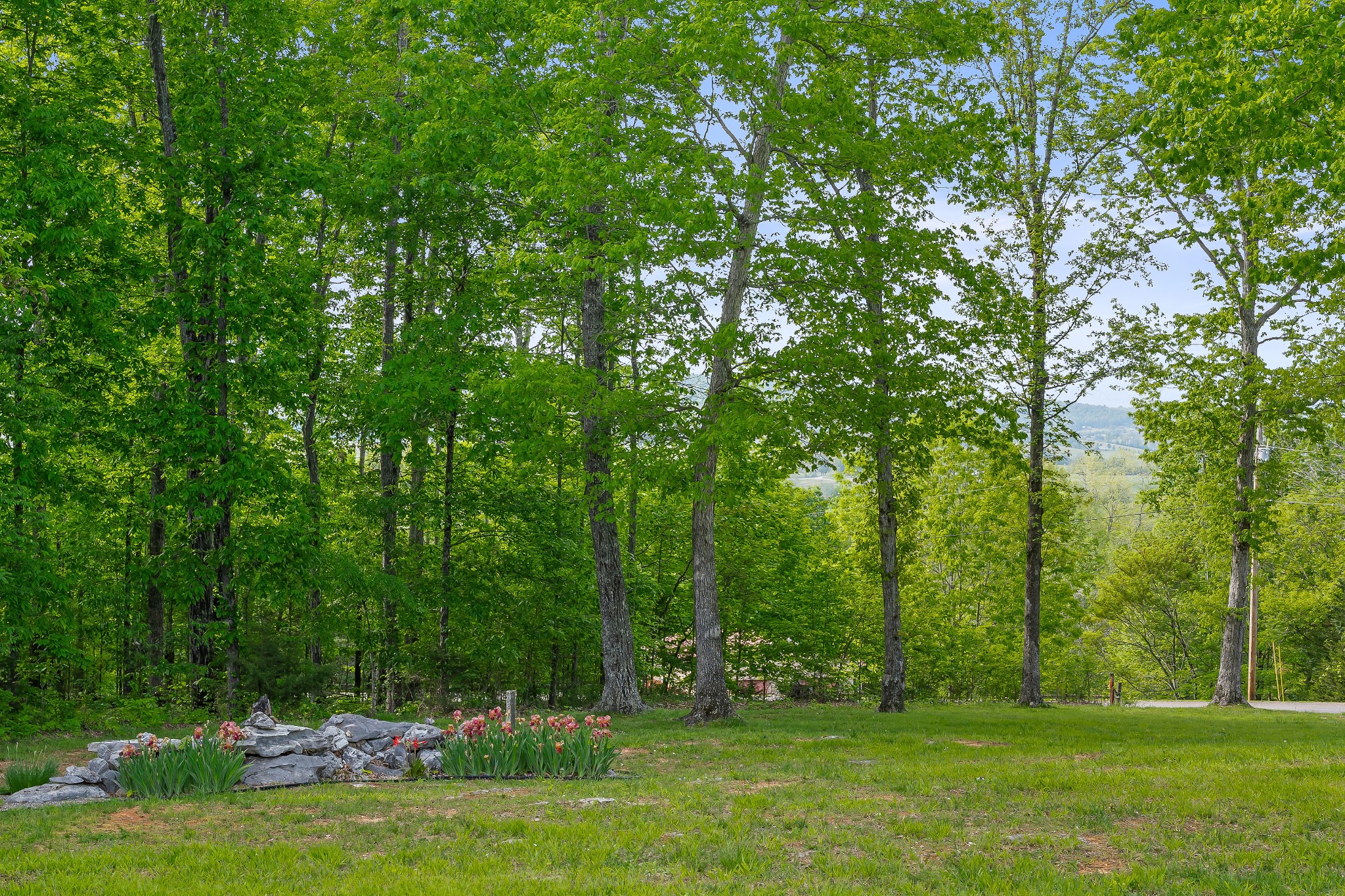 320 Overlook Dr Property Photo 52