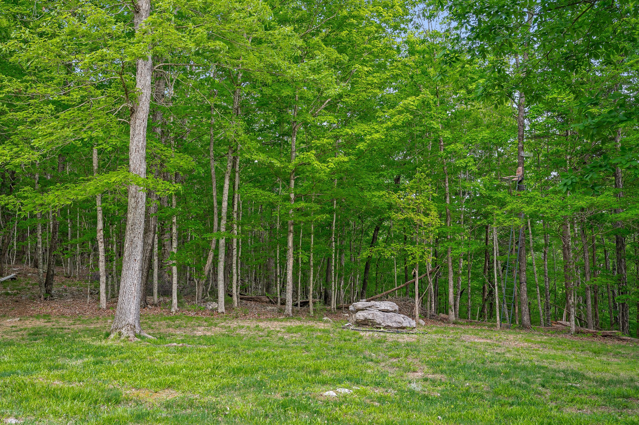 320 Overlook Dr Property Photo 53