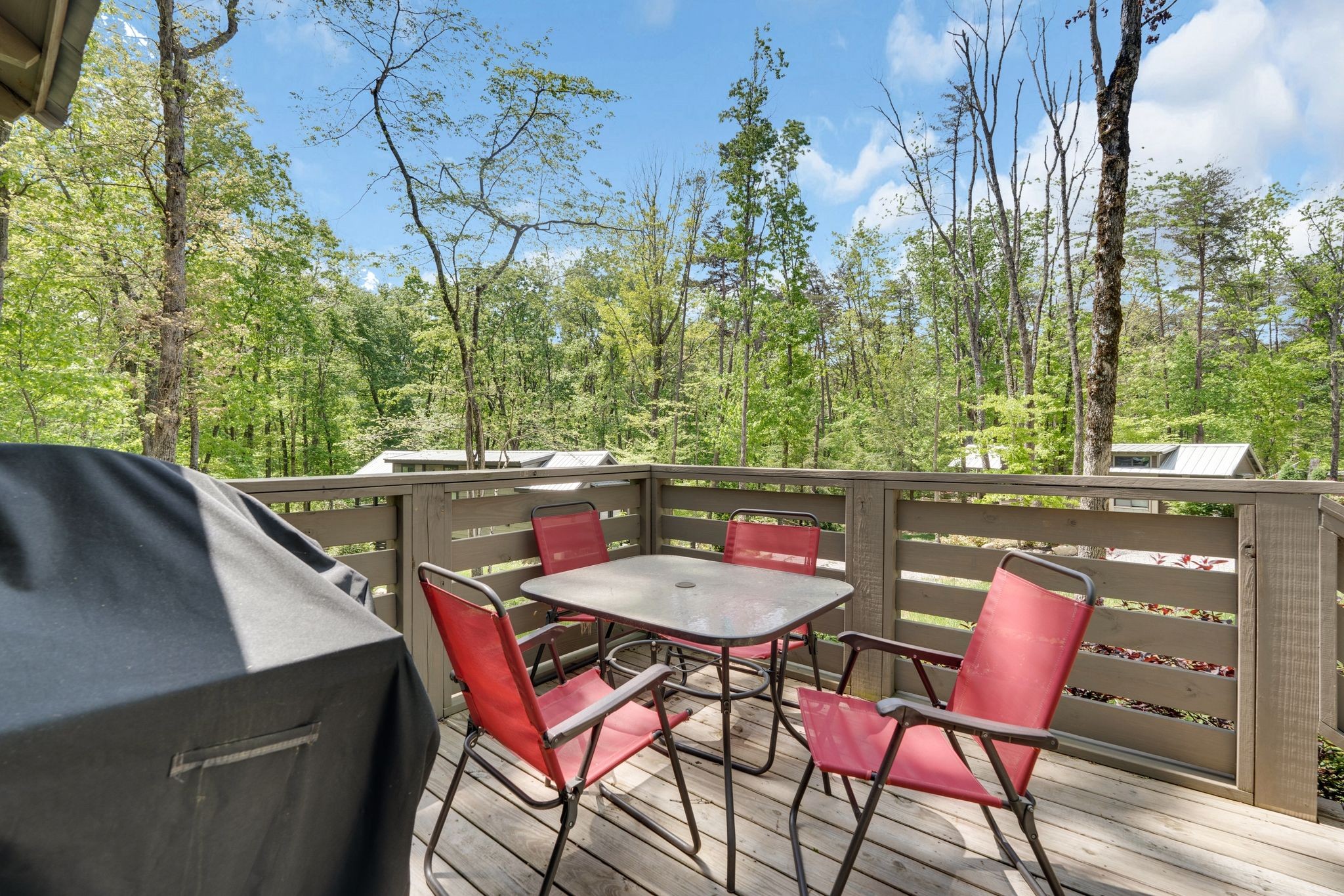 512 Deer Lick Trail Property Photo 28