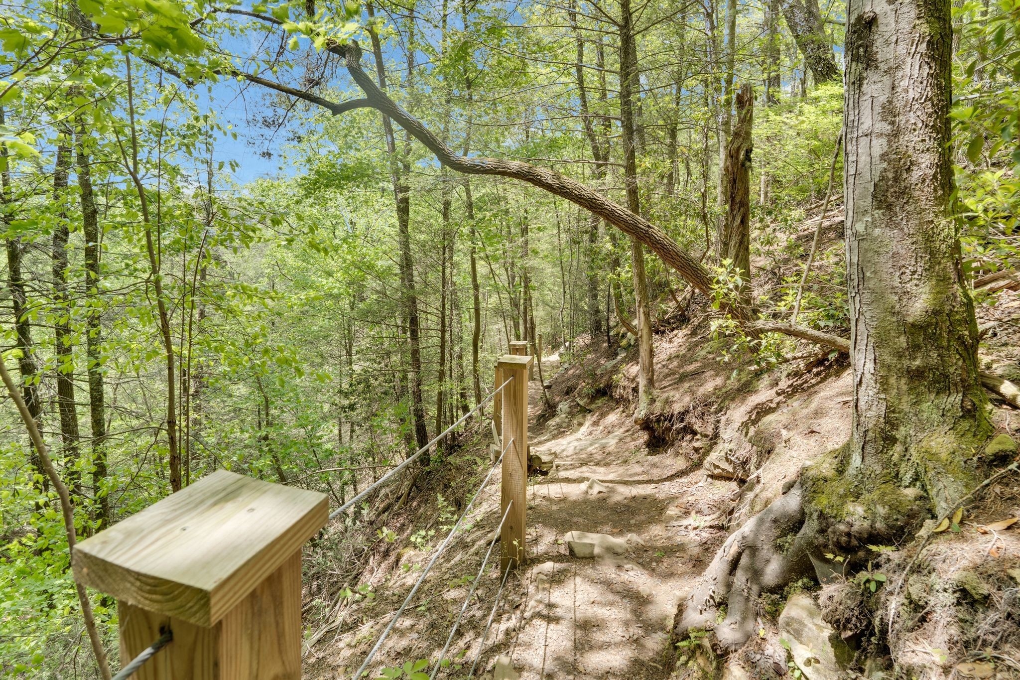 512 Deer Lick Trail Property Photo 32