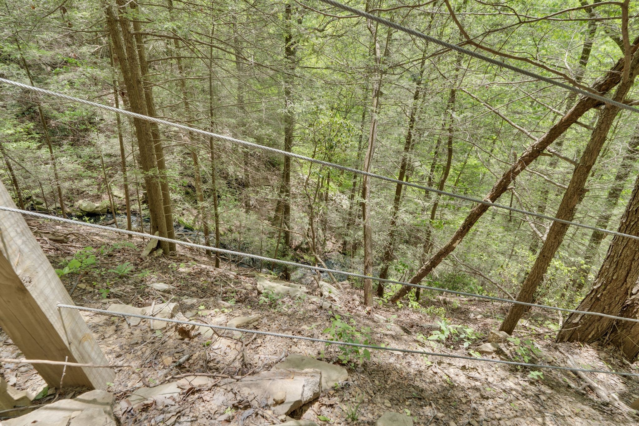 512 Deer Lick Trail Property Photo 33
