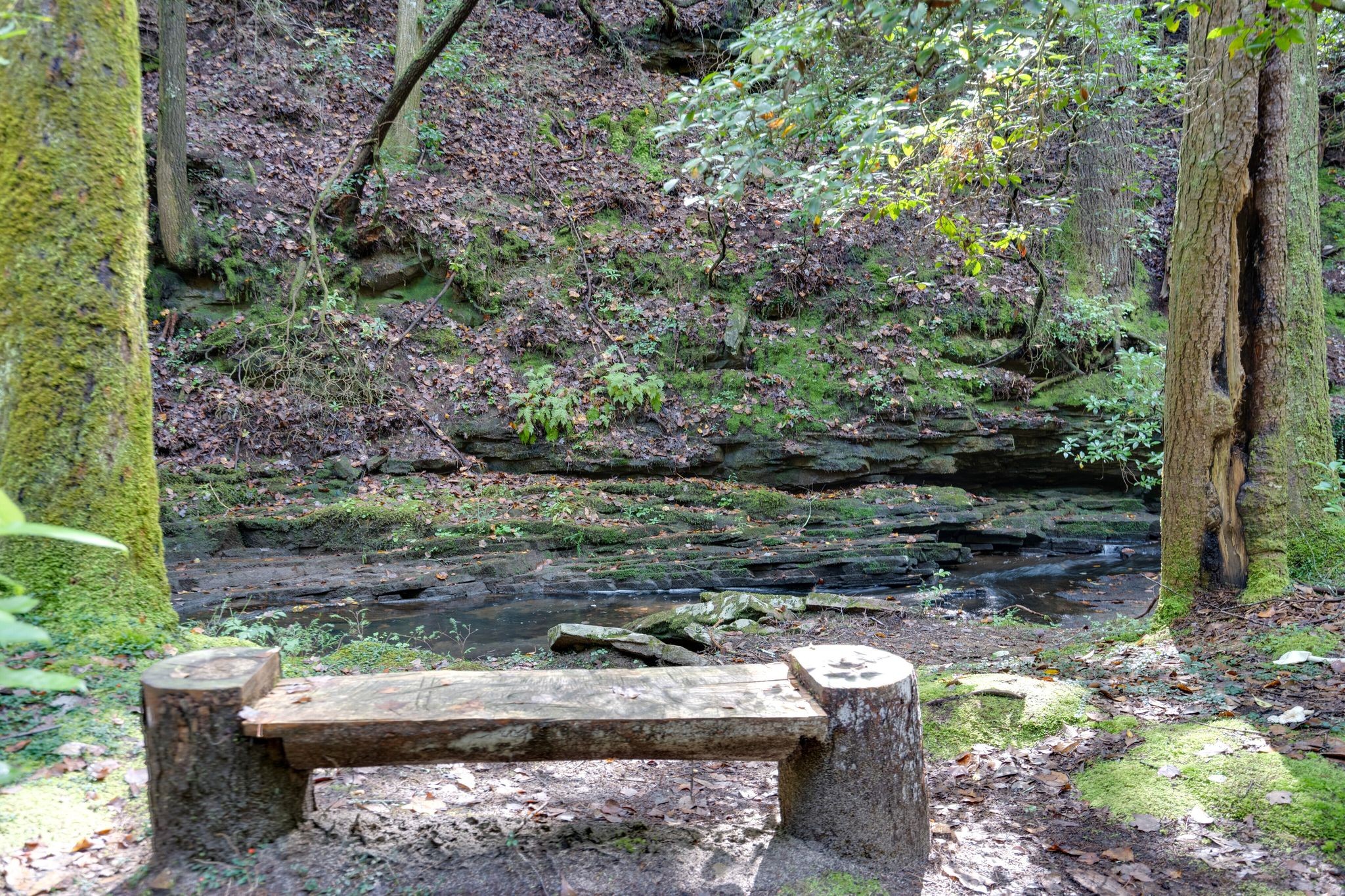 512 Deer Lick Trail Property Photo 40