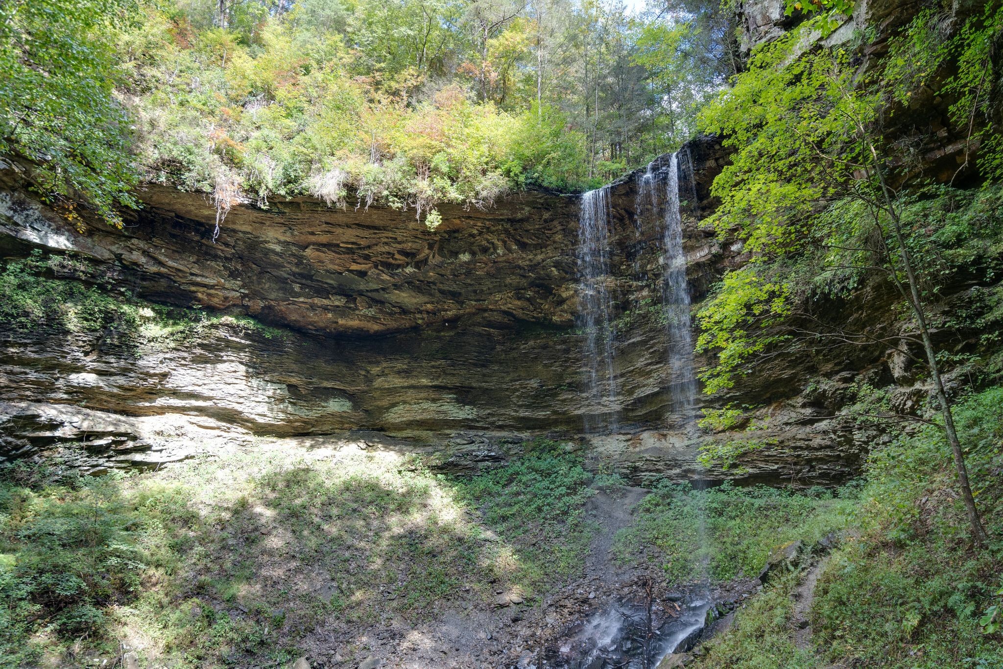 512 Deer Lick Trail Property Photo 43