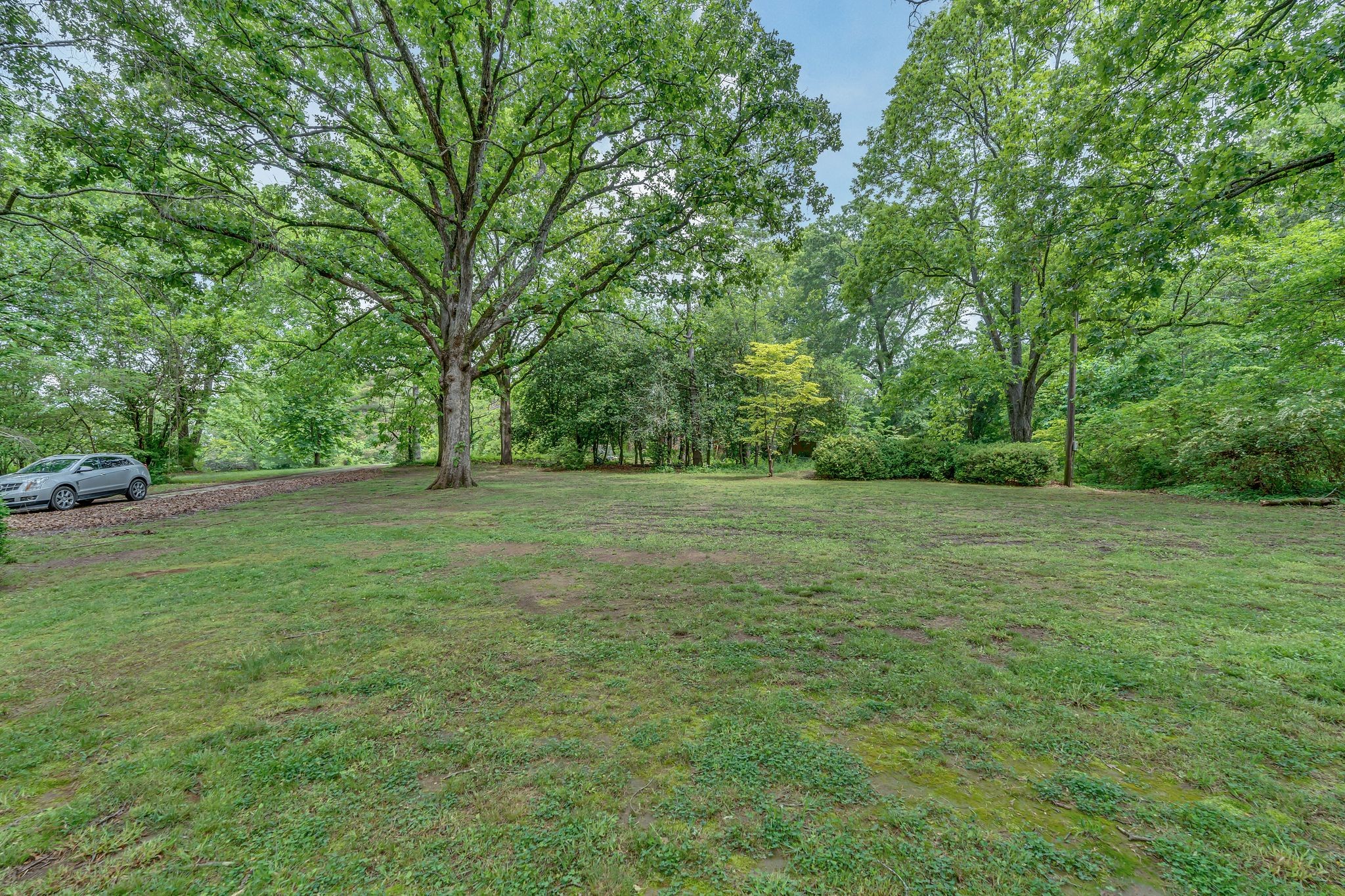 240 Dogwood Dr Property Photo 10