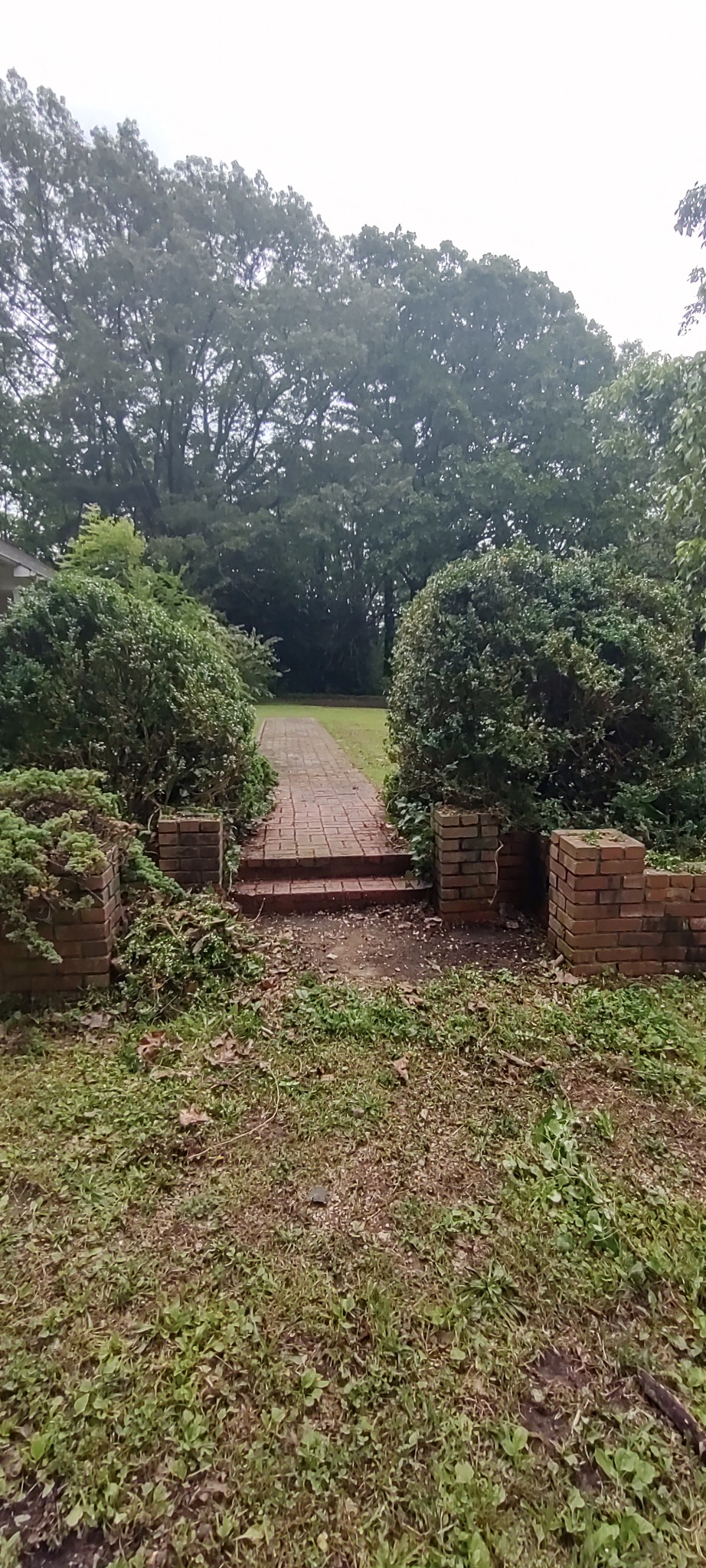 240 Dogwood Dr Property Photo 11
