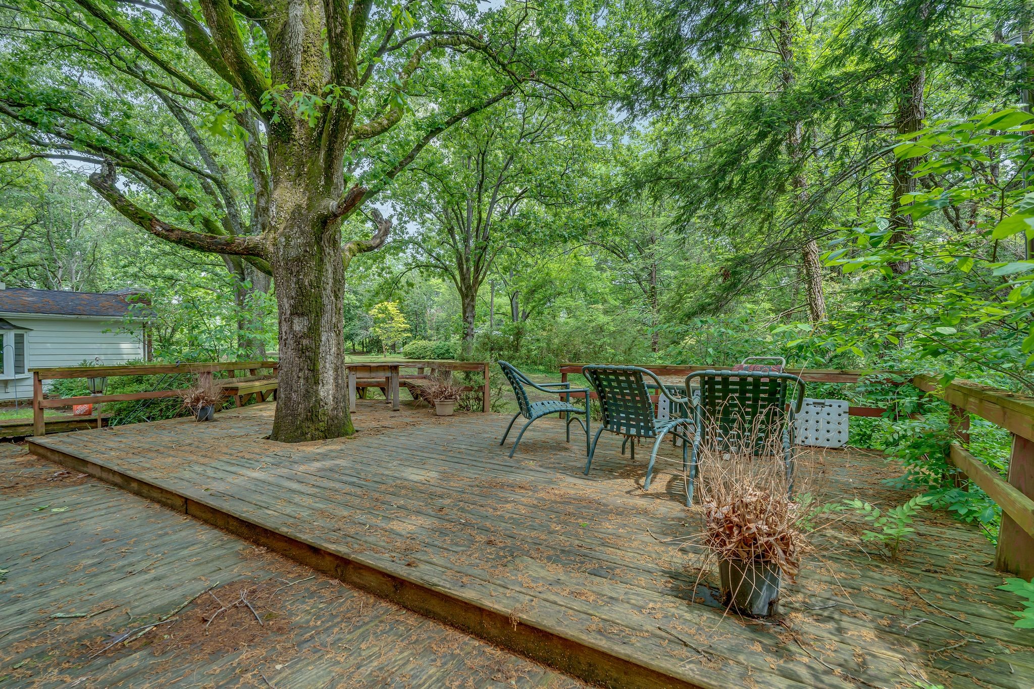 240 Dogwood Dr Property Photo 43