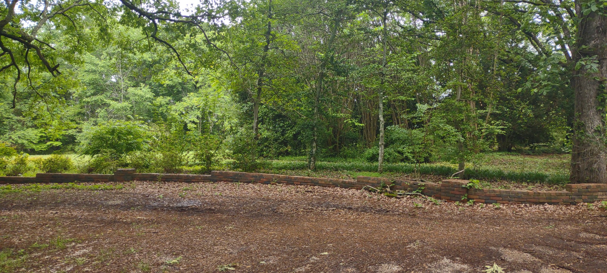 240 Dogwood Dr Property Photo 51