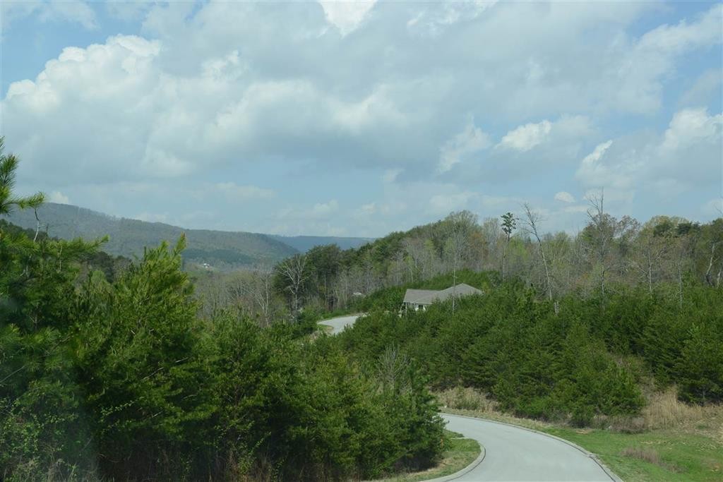 132 Nicole Drive Property Photo 6