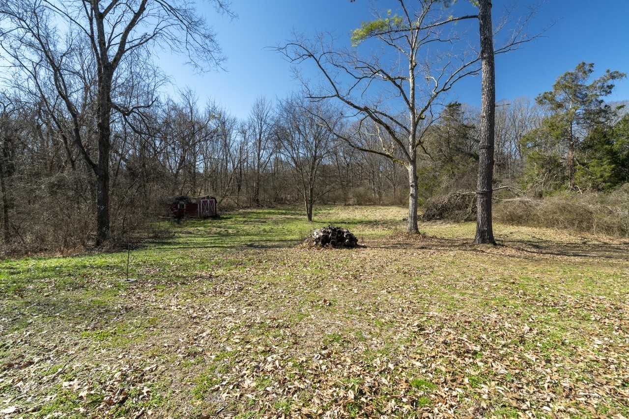 5407 Cane Ridge Rd Property Photo 6