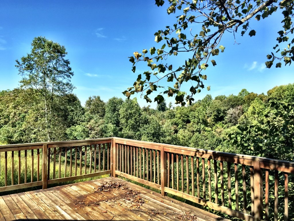 1566 Preston Ridge Rd Property Photo 29
