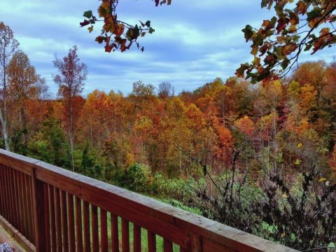 1566 Preston Ridge Rd Property Photo 44