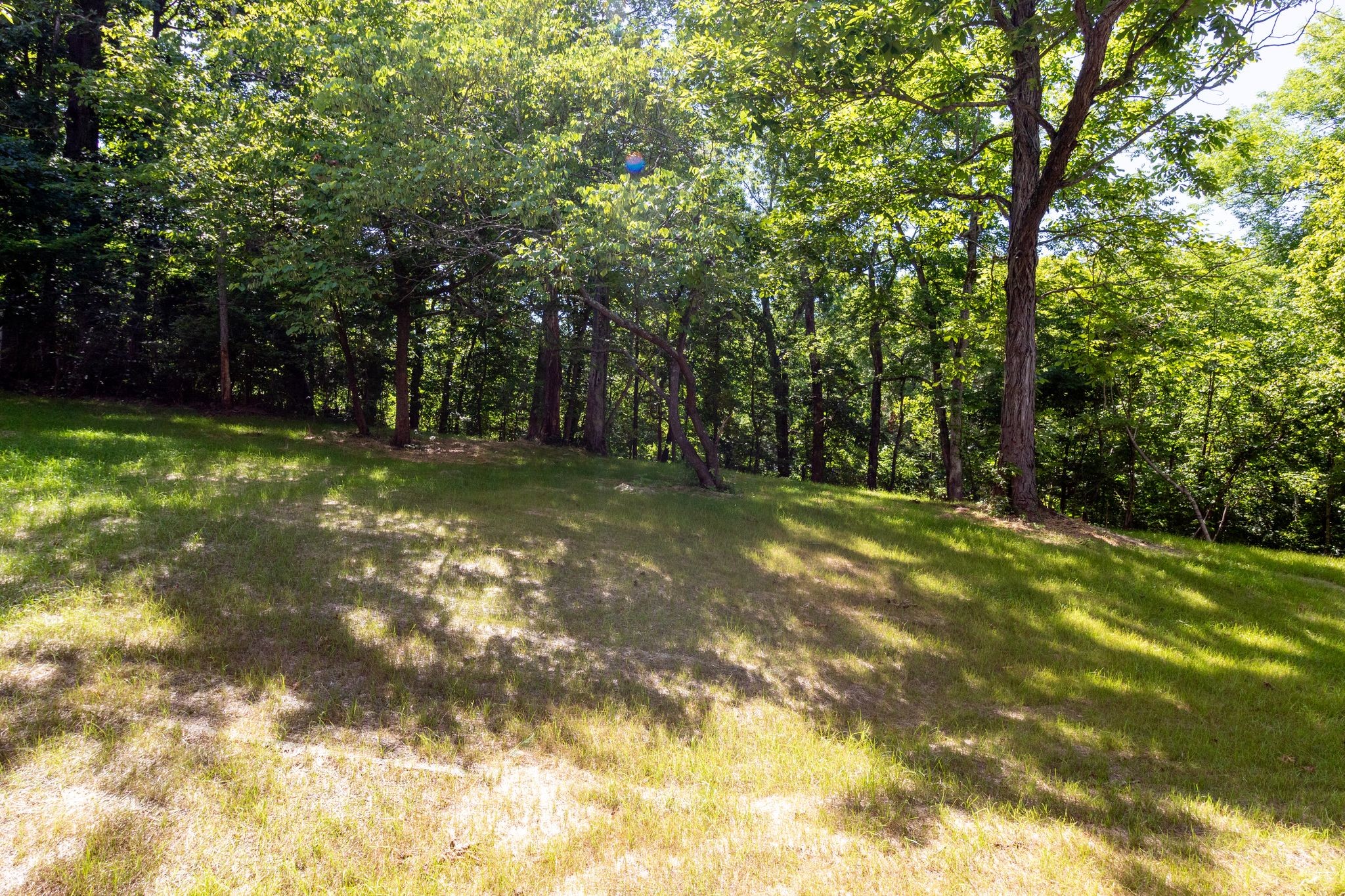 63 W Fork Dr Property Photo 49
