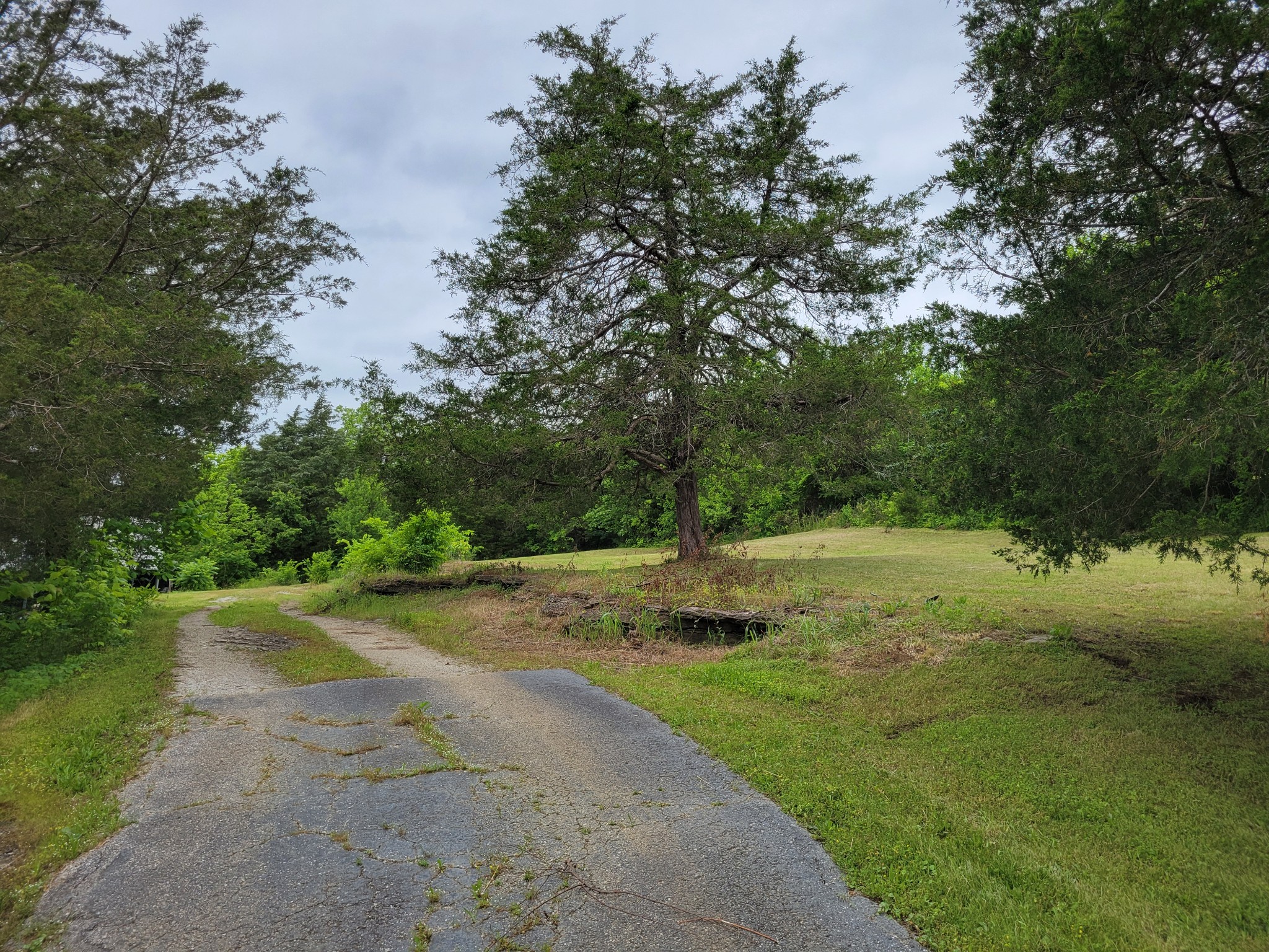7207 Lewisburg Hwy Property Photo 13