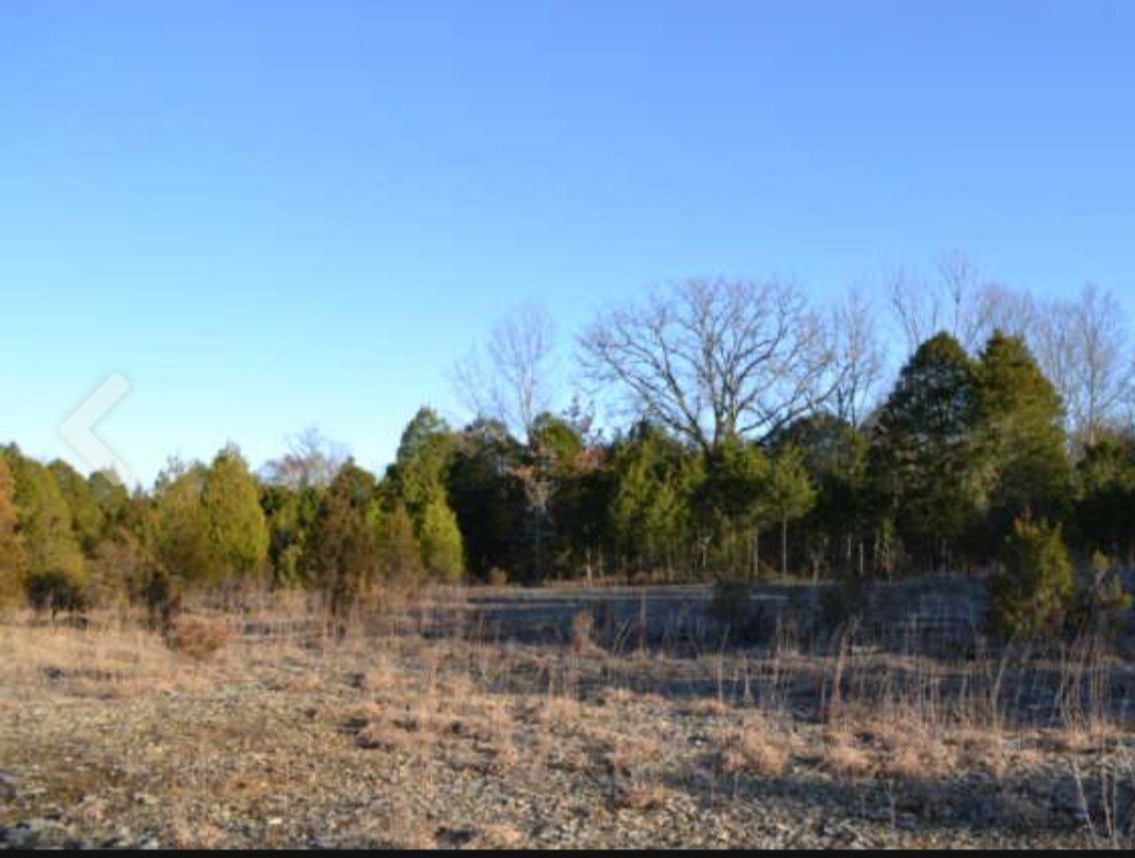 0 Vaughn Rd Property Photo 2