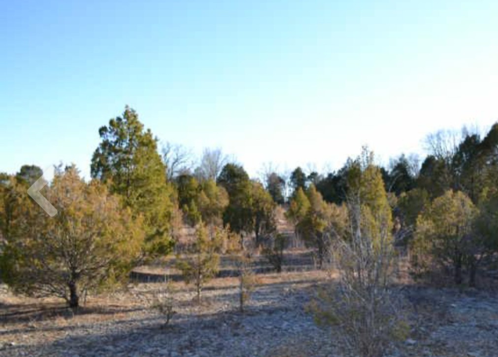 0 Vaughn Rd Property Photo 3