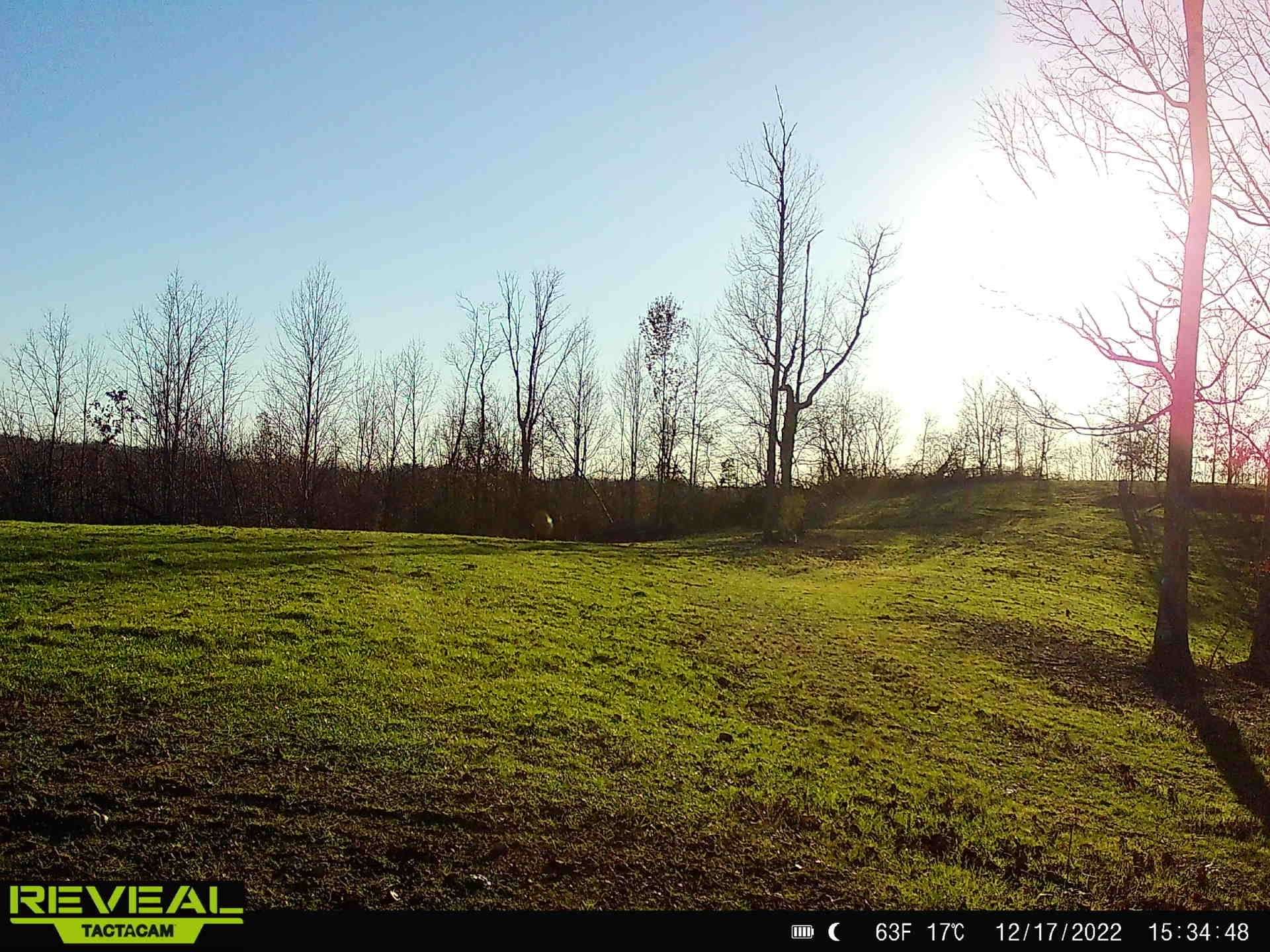 340 Elk Drive Property Photo 20