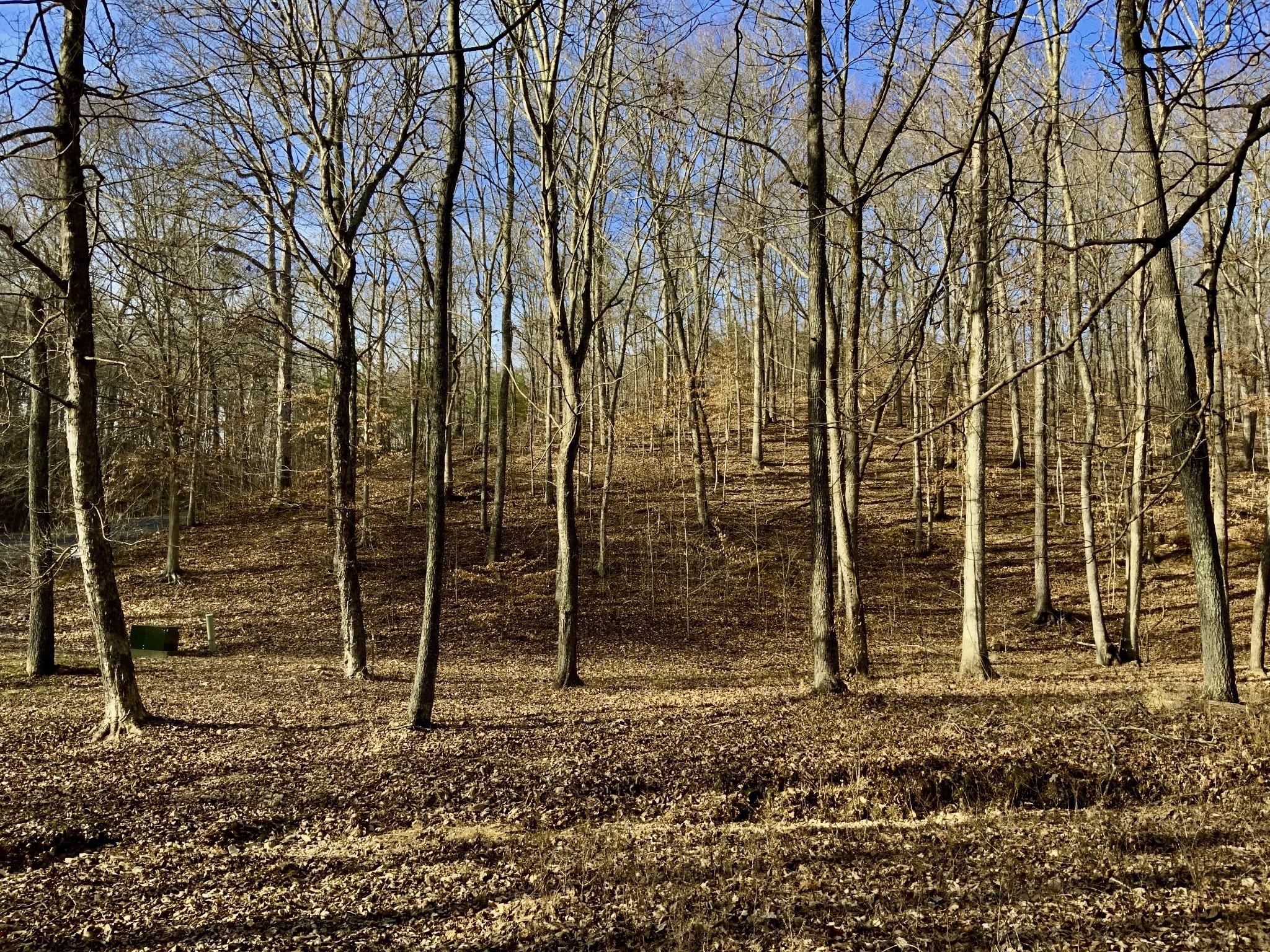 0 Forrest Crossing Property Photo 1