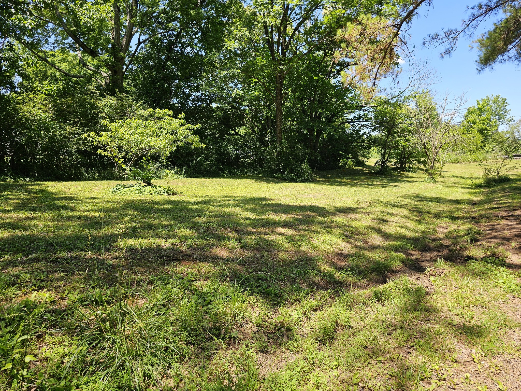 10 Fowler Dr Property Photo 8