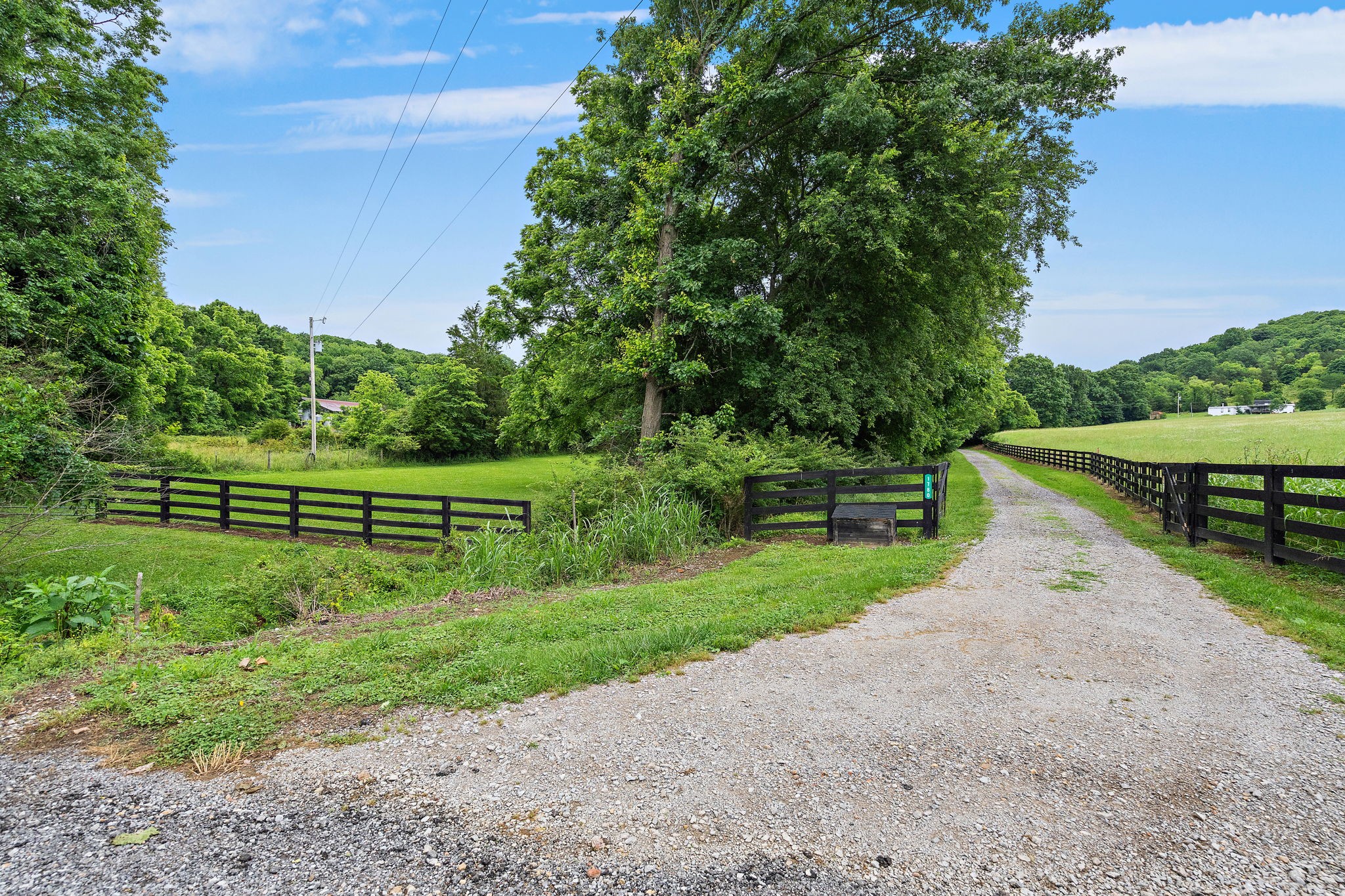 1780 Molly Hollow Rd Property Photo 3