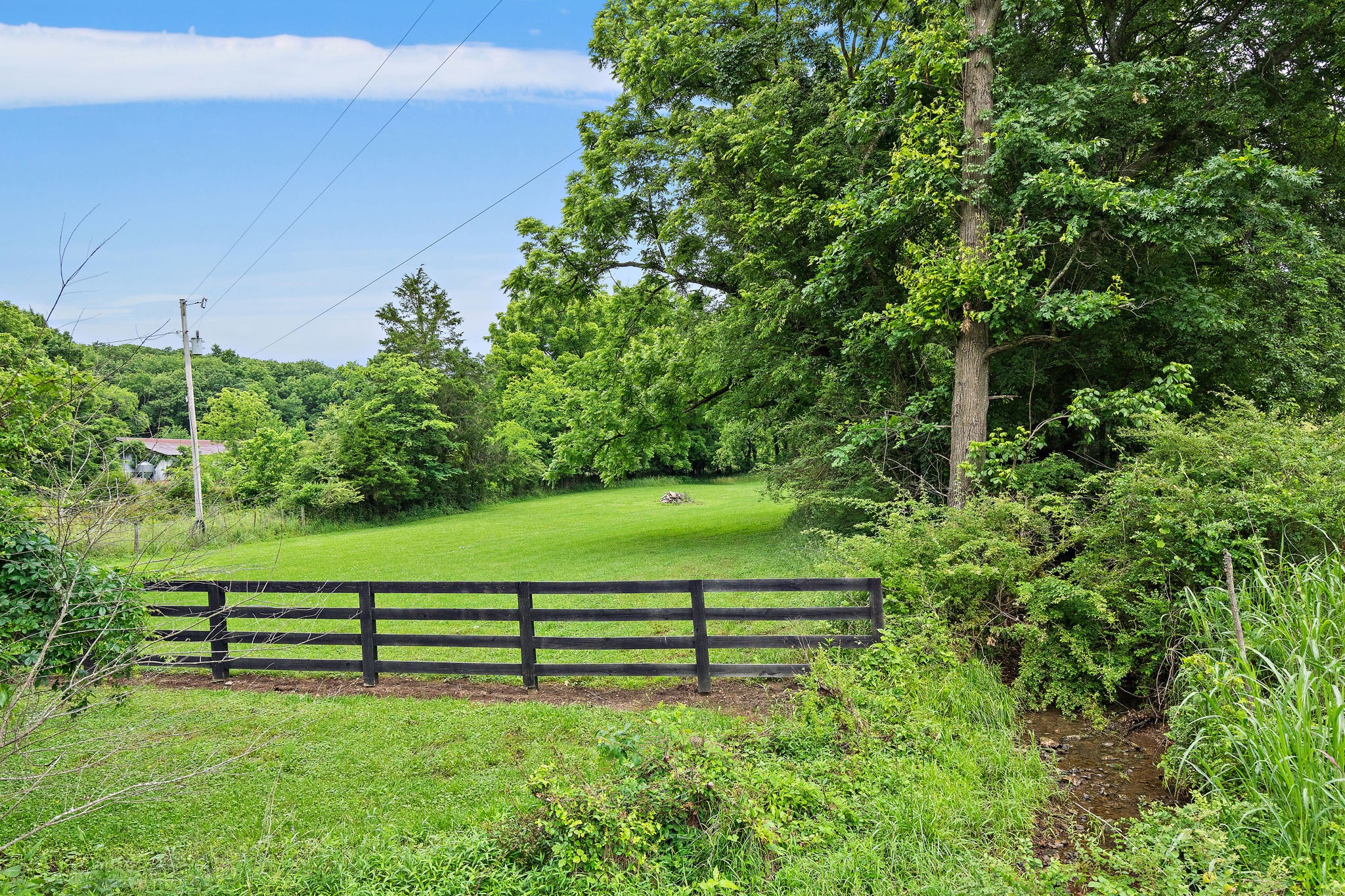 1780 Molly Hollow Rd Property Photo 5