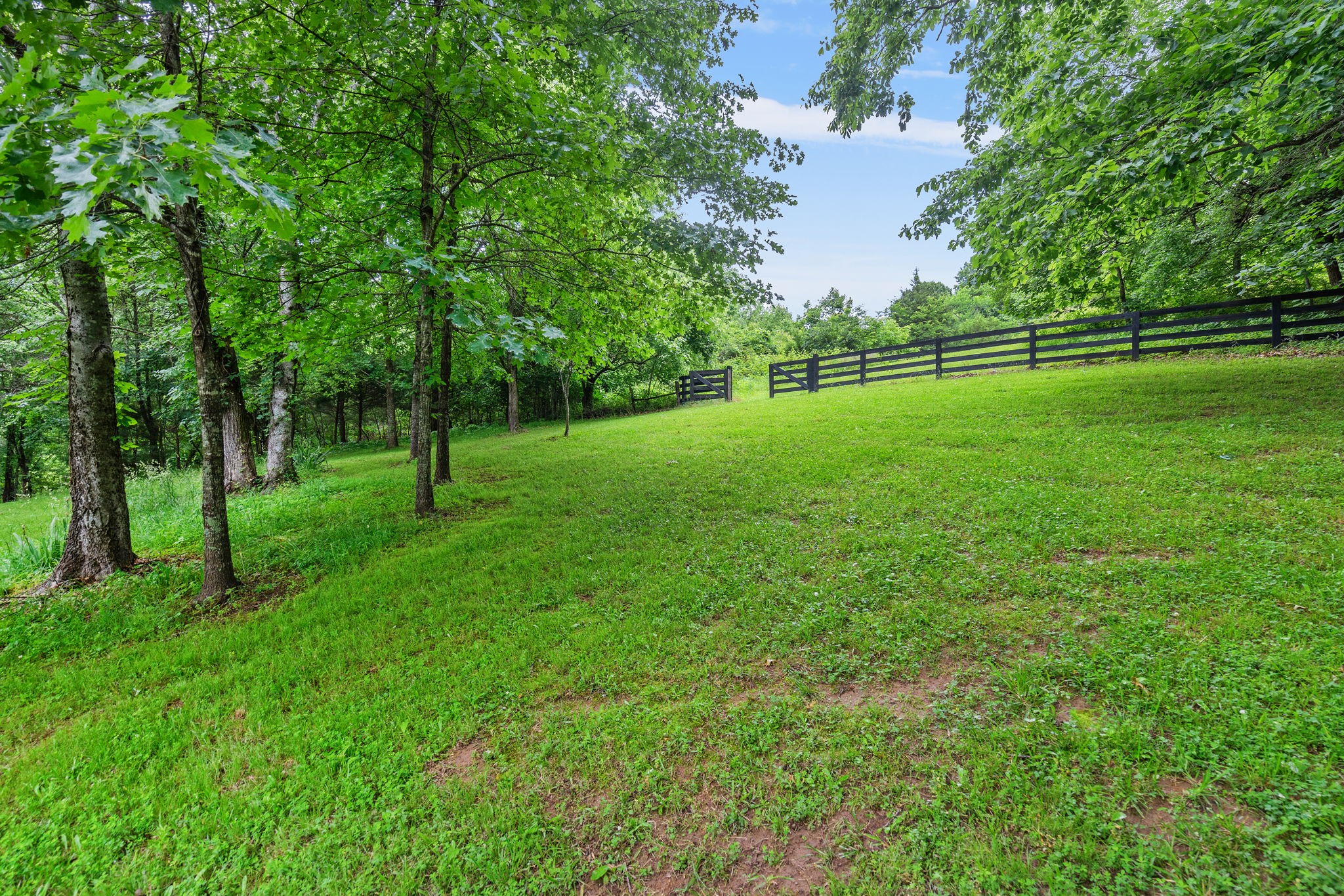 1780 Molly Hollow Rd Property Photo 10