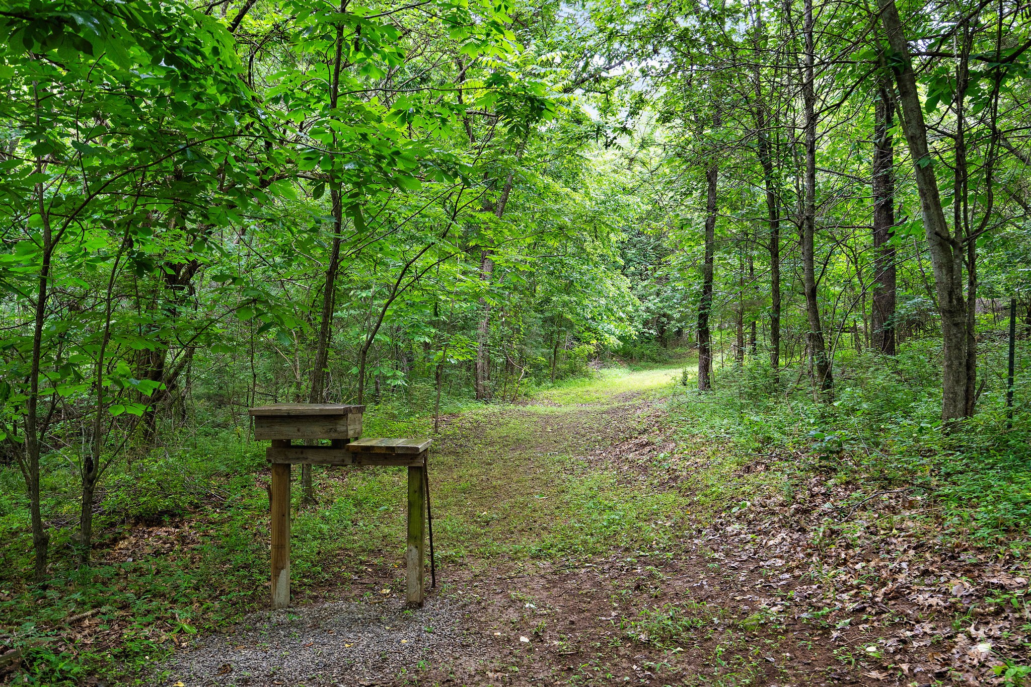 1780 Molly Hollow Rd Property Photo 16