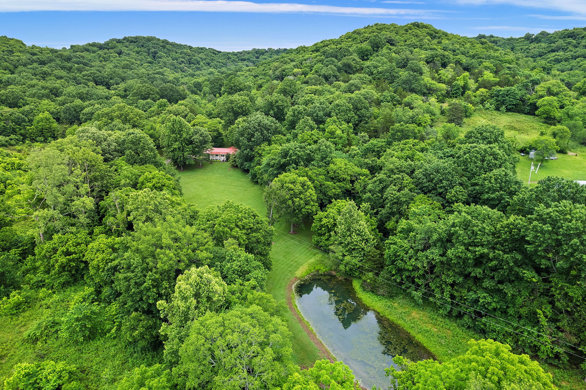 1780 Molly Hollow Rd Property Photo 45
