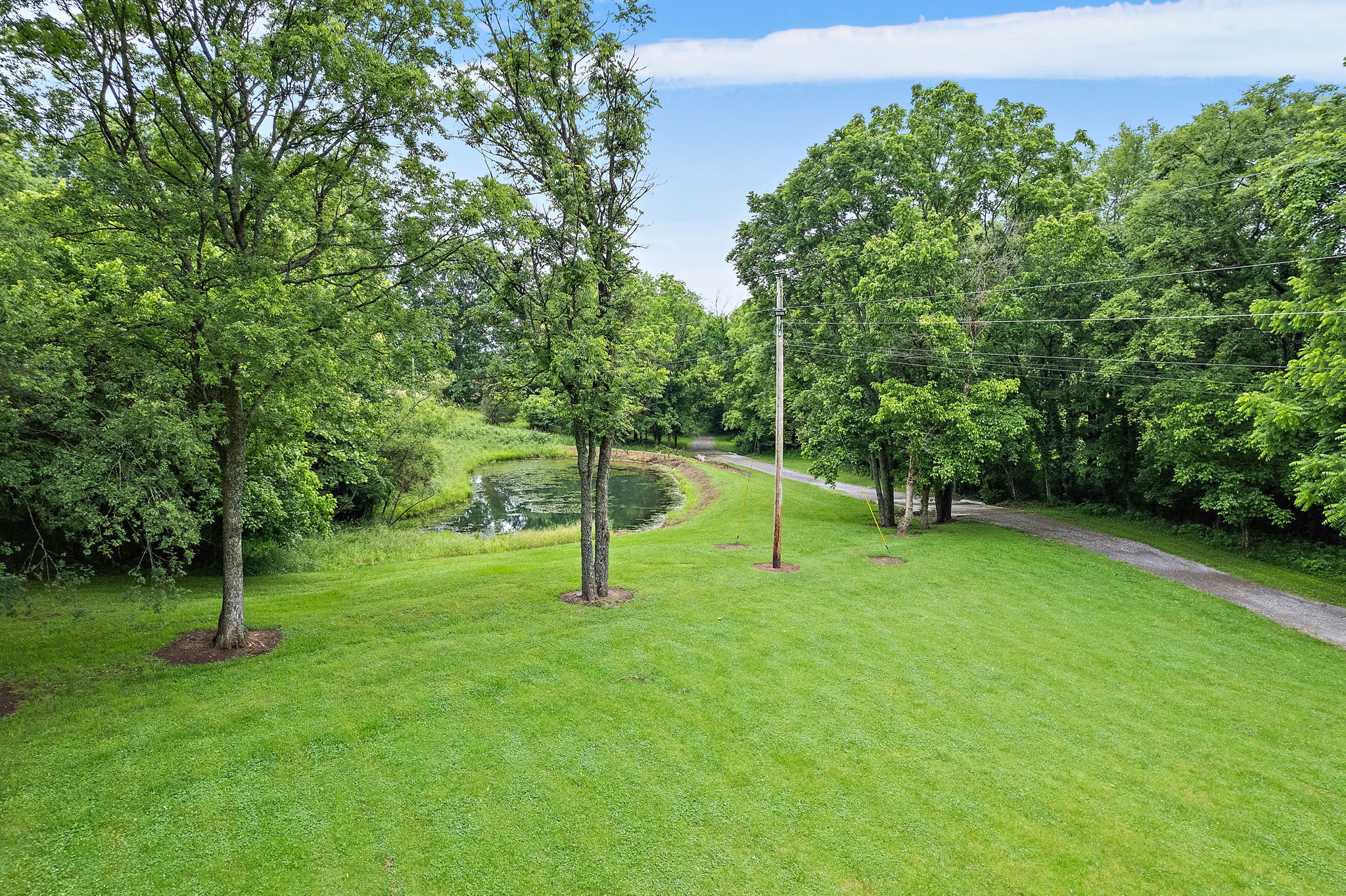 1780 Molly Hollow Rd Property Photo 46