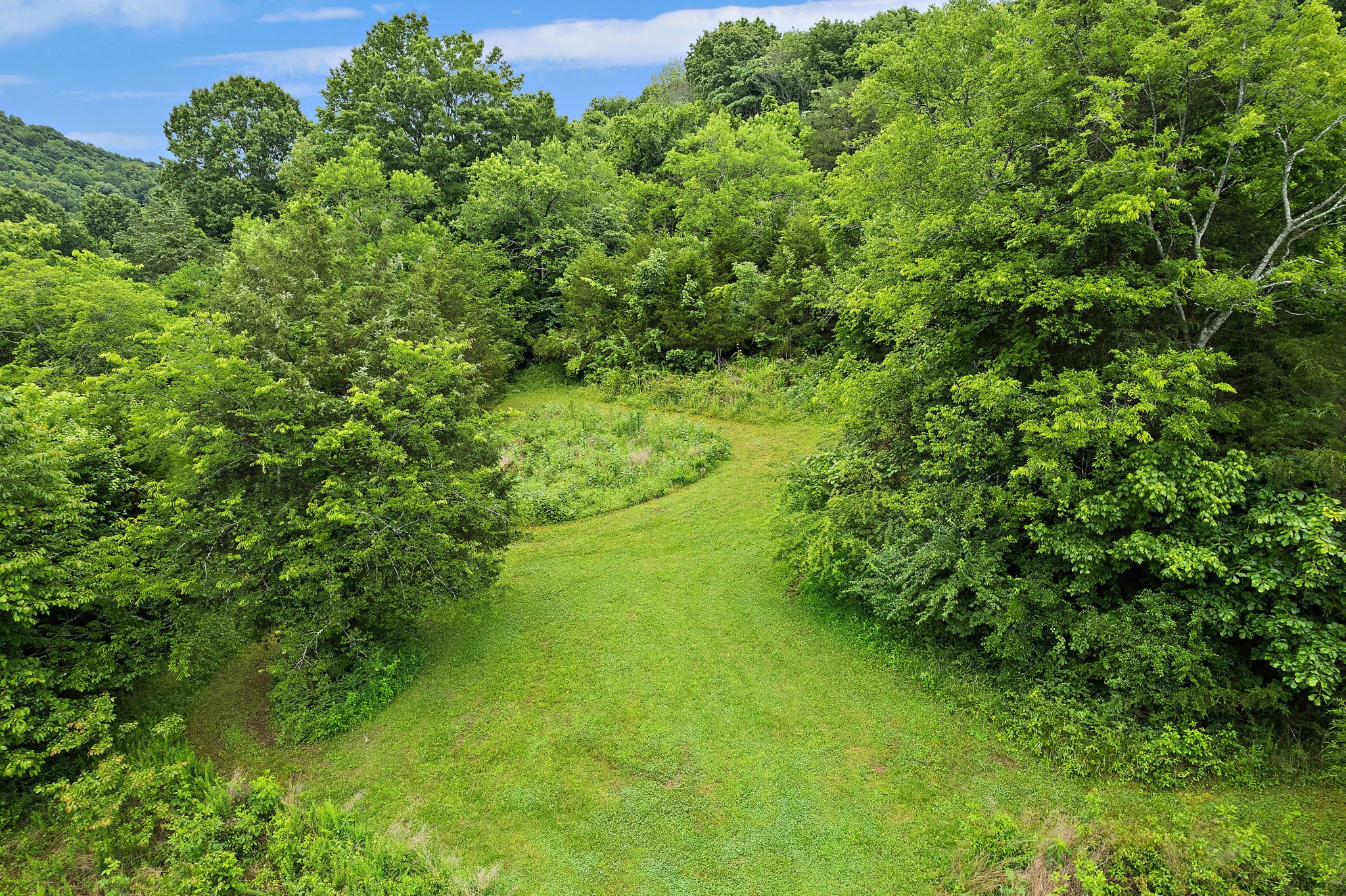 1780 Molly Hollow Rd Property Photo 49