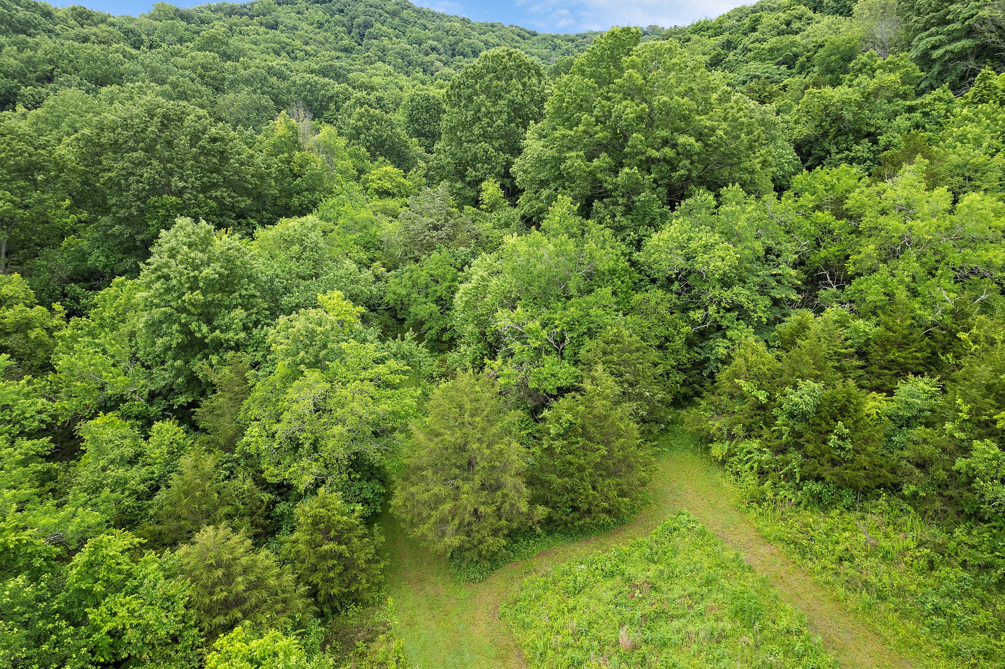 1780 Molly Hollow Rd Property Photo 51
