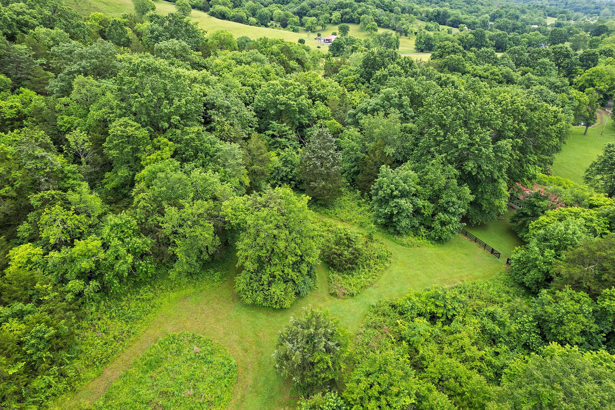 1780 Molly Hollow Rd Property Photo 52