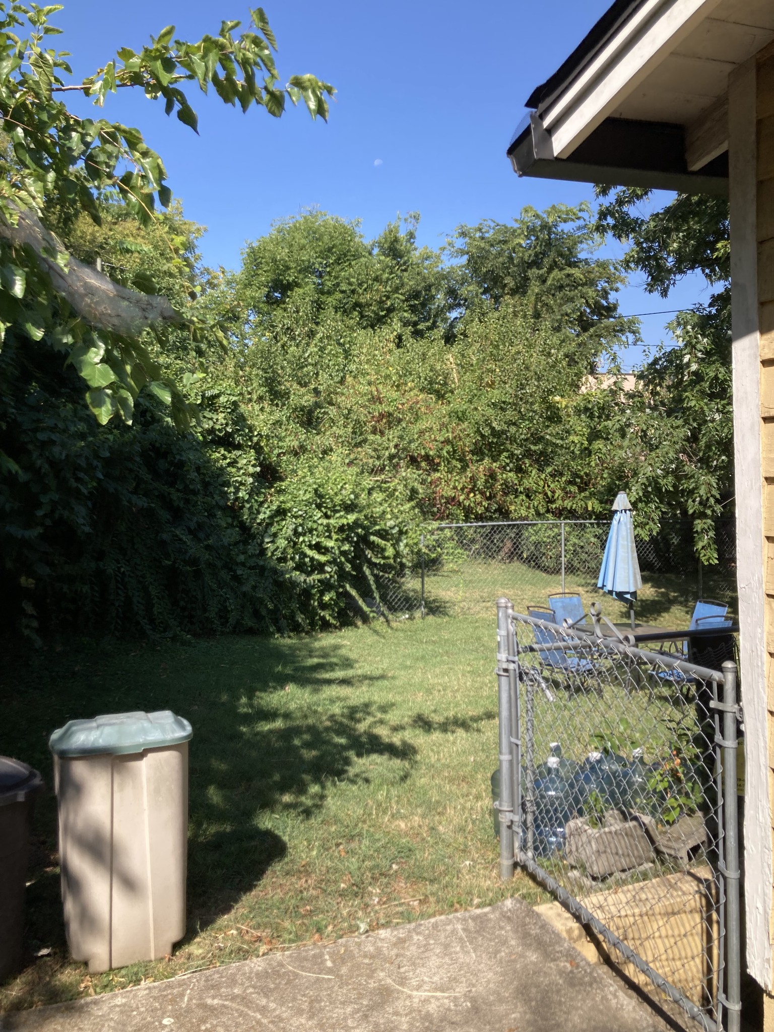 2401 White Ave Property Photo 5