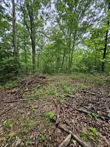 0 Dixie Ct Property Photo 2