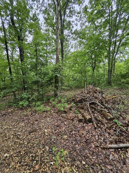 0 Dixie Ct Property Photo 3