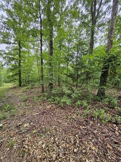 0 Dixie Ct Property Photo 4