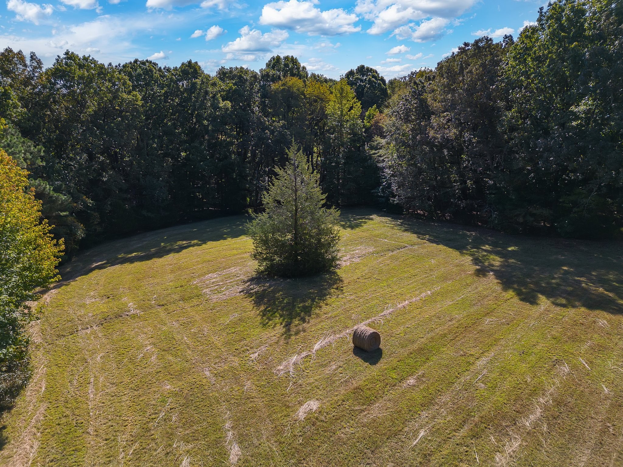 825 Barham Ln Property Photo 11