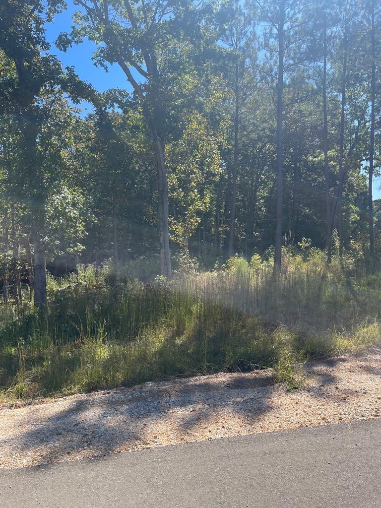 0 Beach Bluff Ln Property Photo 1