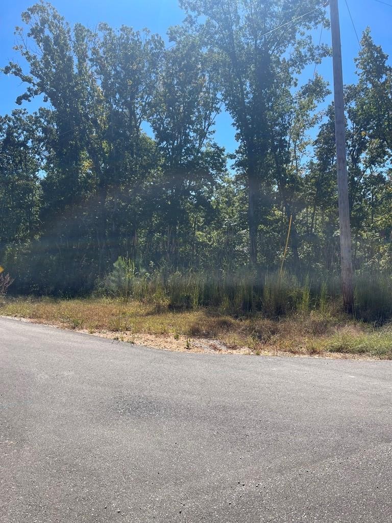 0 Beach Bluff Ln Property Photo 4