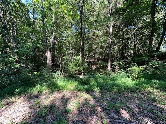 0 Cummins Rd Property Photo 1