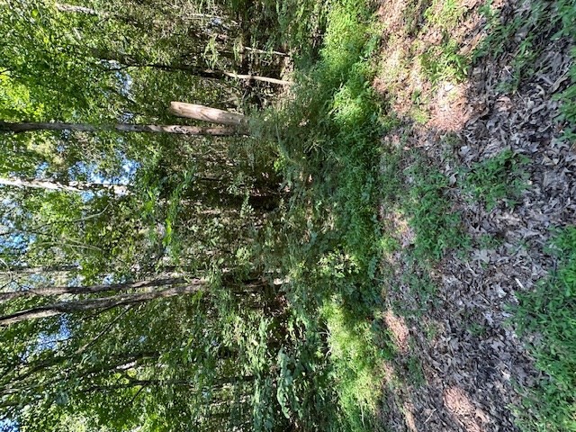 0 Cummins Rd Property Photo 2