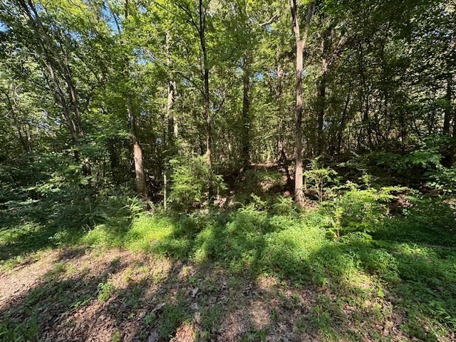 0 Cummins Rd Property Photo 3