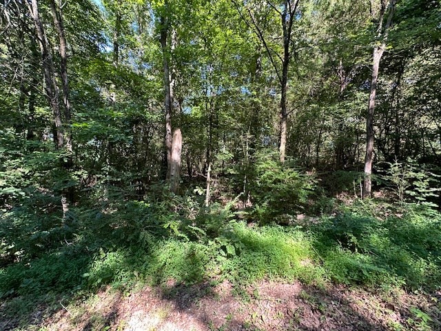 0 Cummins Rd Property Photo 4