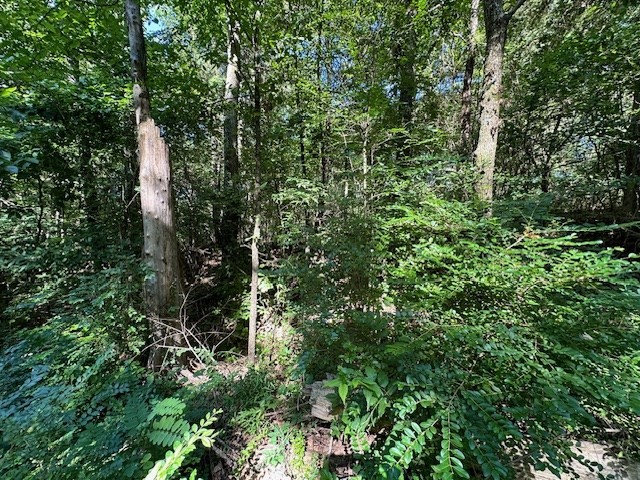 0 Cummins Rd Property Photo 5